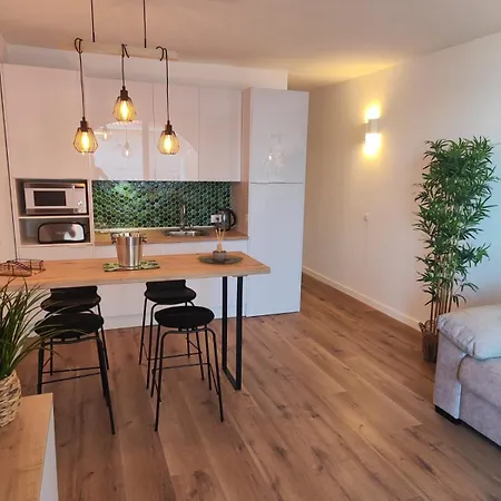 Ocean View Luxury Big Terrace 1 Bedroom Apartment
